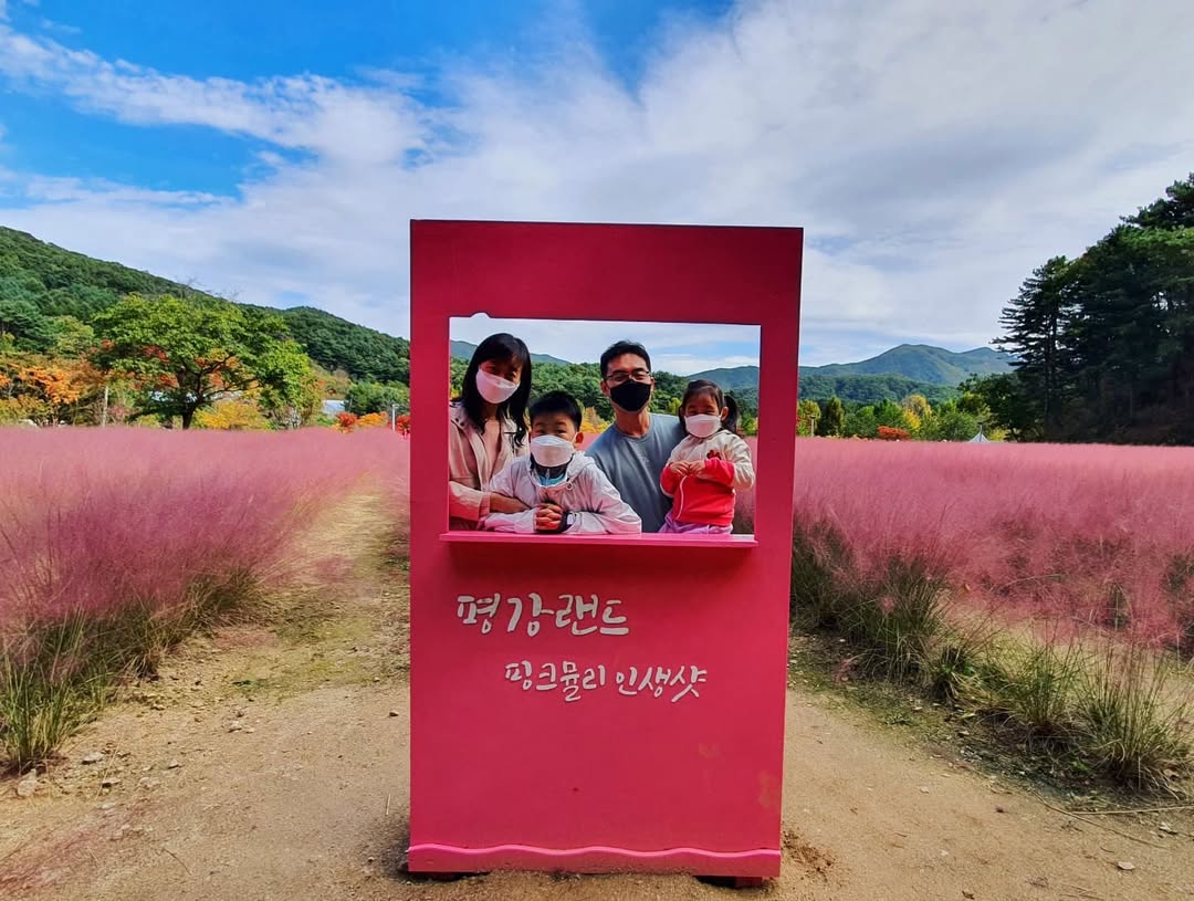 이미지