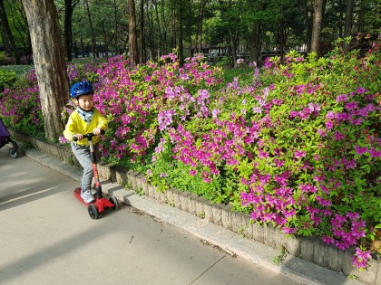 [바깥놀이] 우리동네 공원