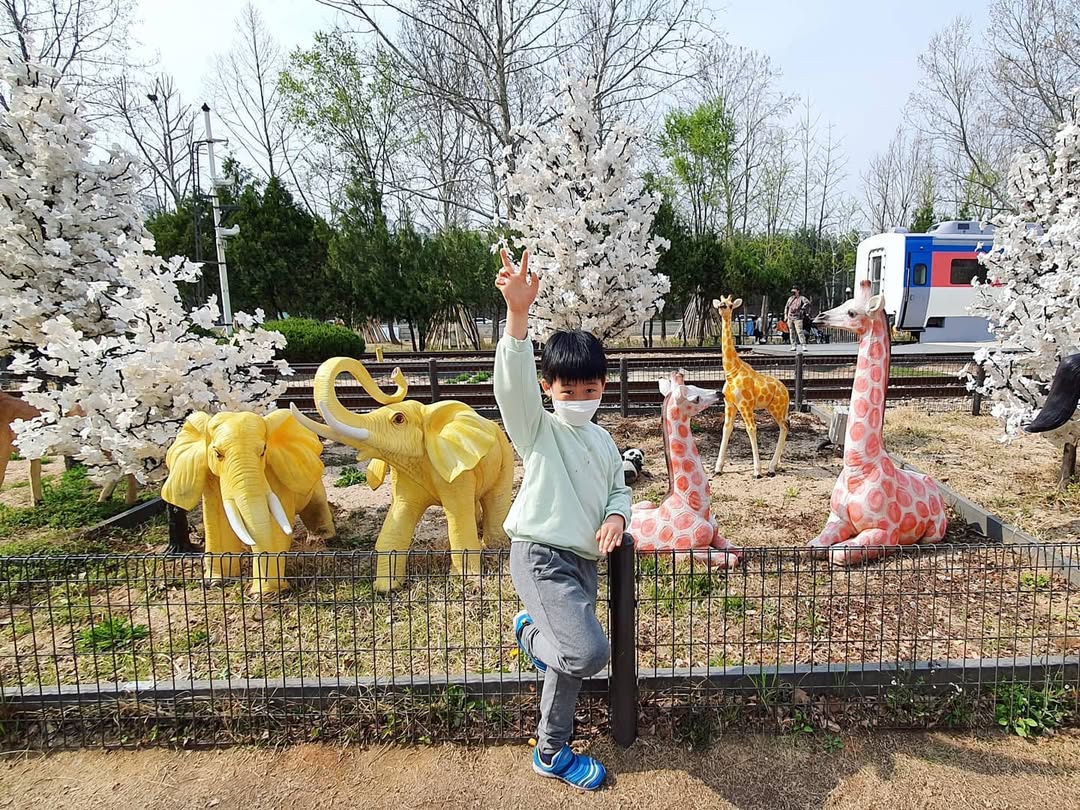 이미지