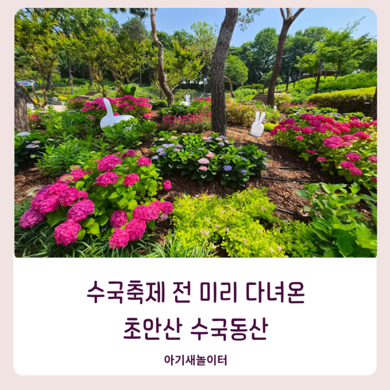 초안산 수국축제 전 미리 다녀온 수국동산, 수국 개화는 아직!