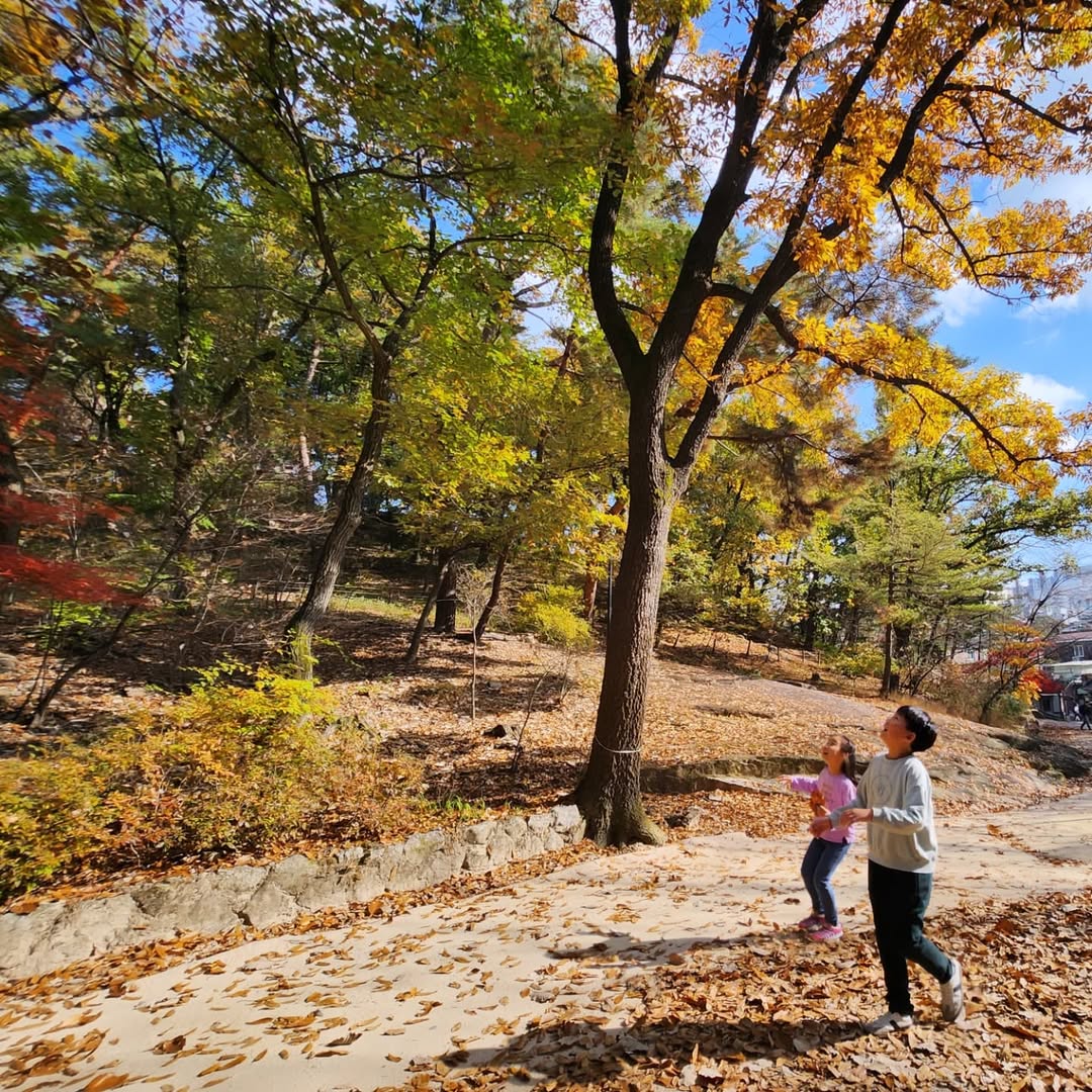 이미지