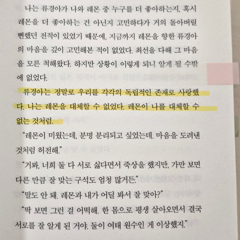 양면의 조개껍데기 본문 발췌
