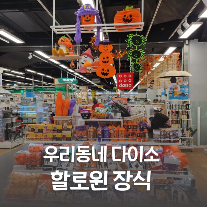 다이소에서 할로윈 장식 파티 용품 준비하기