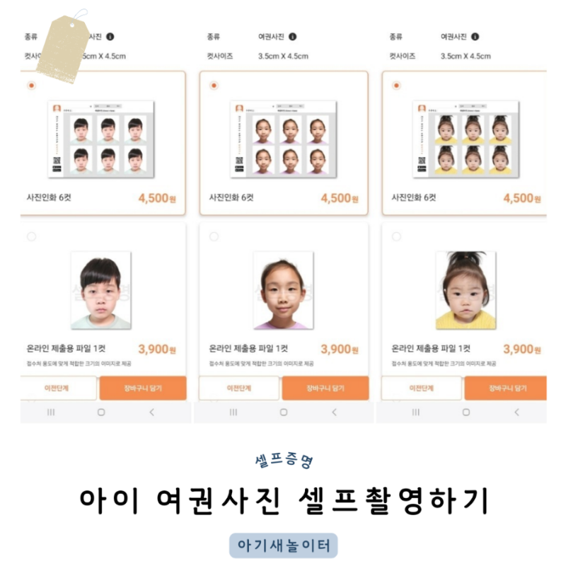 여권사진 셀프촬영하기 쉬운 방법과 어플 추천
