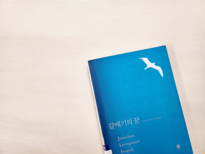 갈매기의꿈 ㅡ리처드바크 , 공경희 옮김
