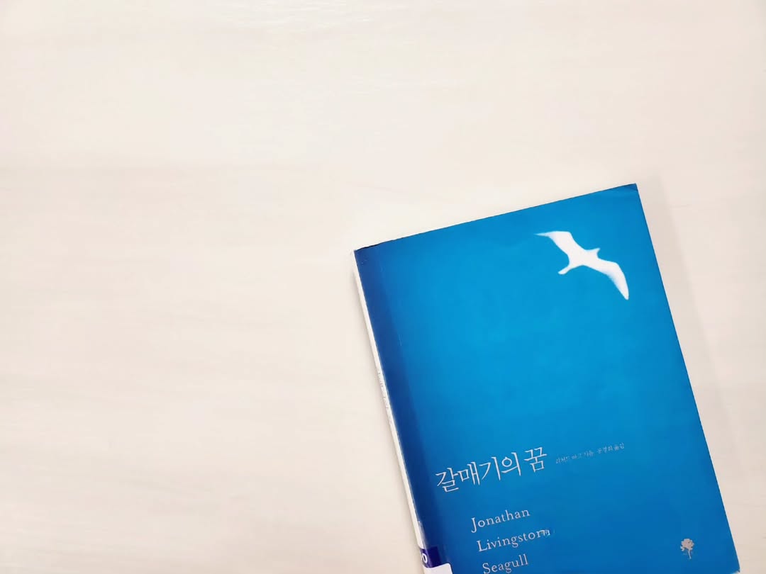 가장 높이 나는 새가 가장 멀리 본다: 리처드 바크의 '갈매기의 꿈'이 전하는 진정한 자유의 의미