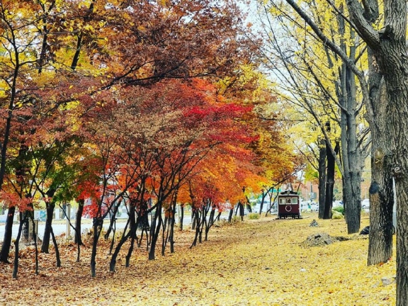 [아이랑갈만한곳] 경춘선숲길 화랑대 철도공원