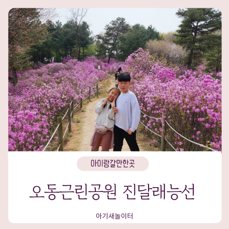 [아이랑갈만한곳] 오동근린공원 진달래능선 봄꽃길