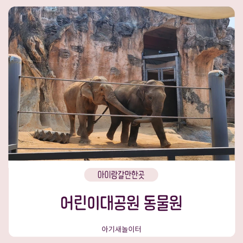 서울 능동 어린이대공원 동물원, 푸드코트 식당 정보