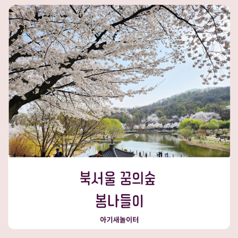 매년 가는 북서울 꿈의숲 봄나들이 벚꽃 현황