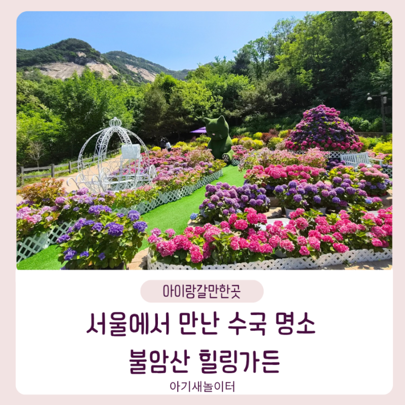 서울 초여름 산책 추천, 불암산 힐링가든 수국정원과 헨젤과 그레텔 정원