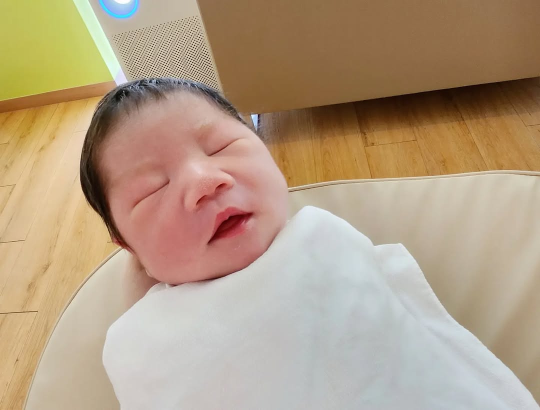 이미지