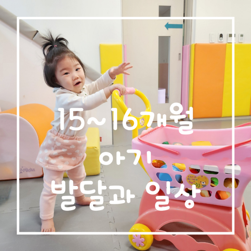 생후 15개월~16개월 아기 발달과 일상