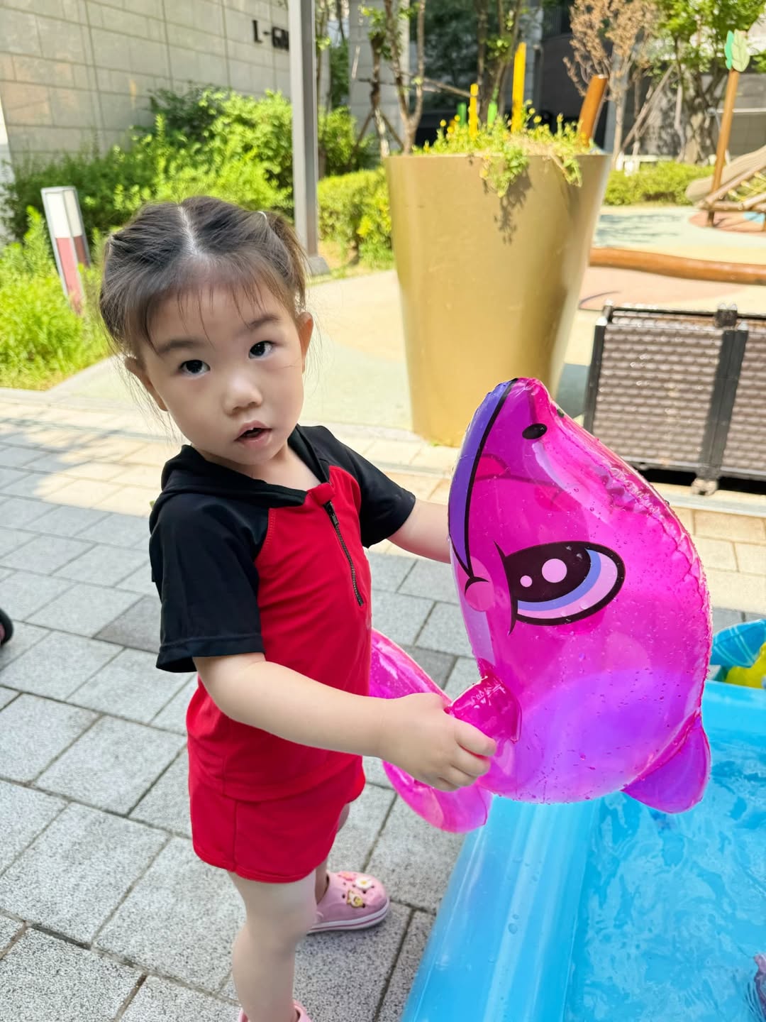 이미지