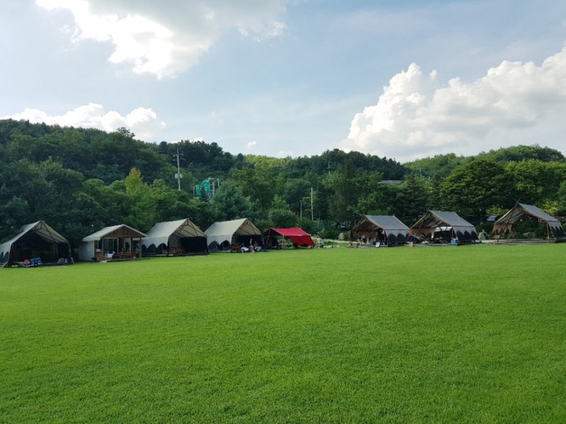 [아이랑갈만한곳] 노원힐링캠핑장