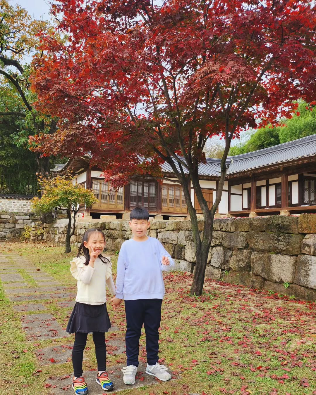[2023 가을 기록] 비 갠 뒤 북서울꿈의숲 산책, 창녕위궁재사에서 만난 삼남매의 늦가을
