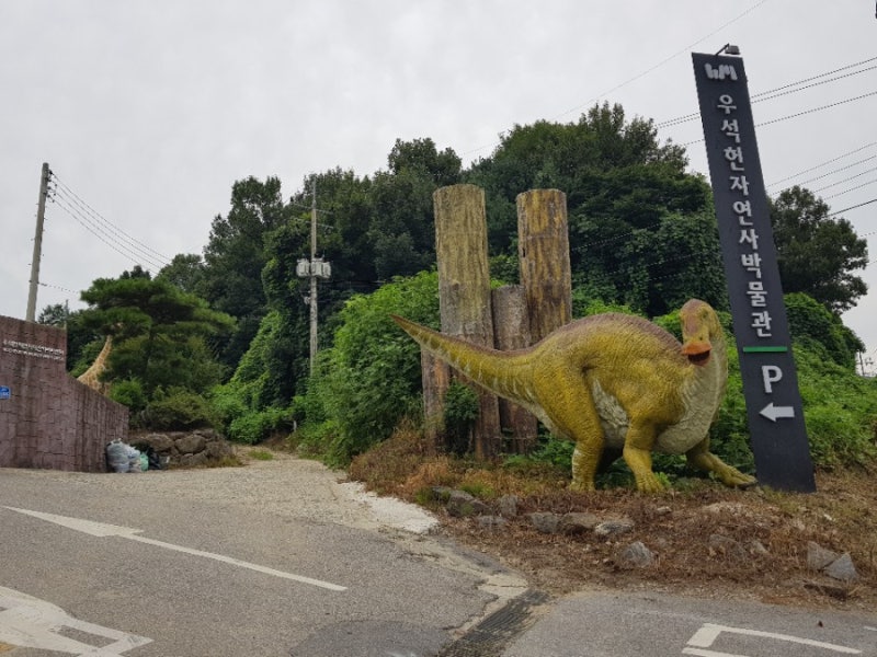 [아이랑가볼만한곳] 우석헌 자연사박물관