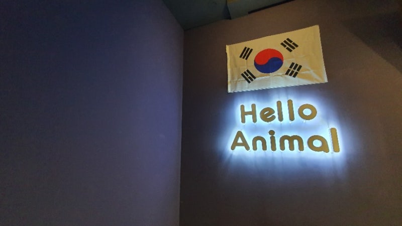 [아이랑갈만한곳] 실내동물원 헬로애니멀ㅡ 동물들이랑 교감하러 고고!!