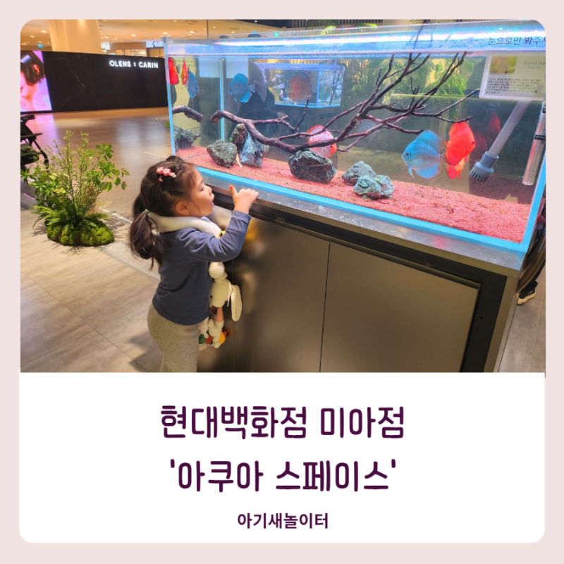 아쿠아 스페이스 현대백화점 미아점