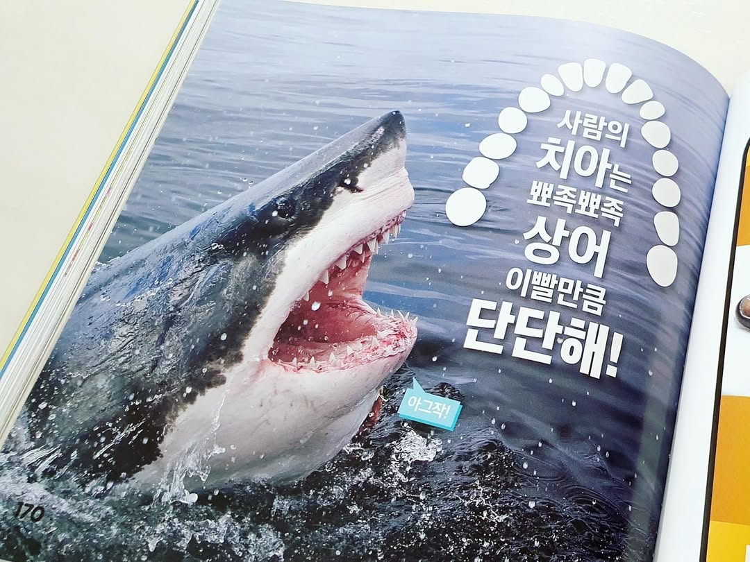 이미지