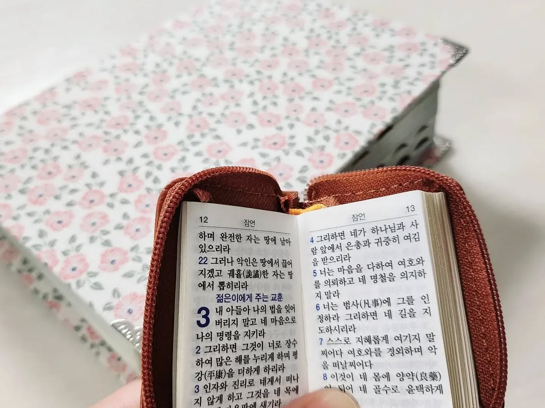 이미지