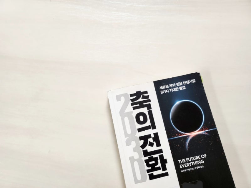 2030축의전환 ㅡ 마우로 기옌