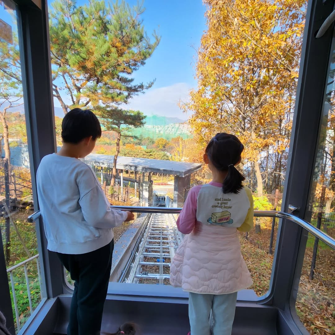 서울 가을 풍경의 숨은 보석, 북서울꿈의숲 전망대에서 즐기는 힐링 산책