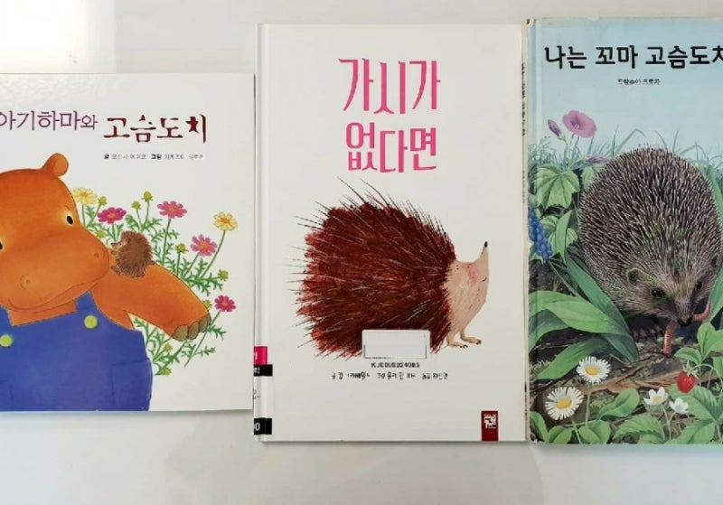 [독후활동] 가시가없다면ㅡ 주제: 고슴도치
