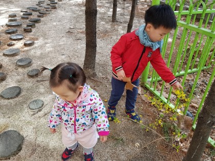 [바깥놀이] 봄 꽃찾기