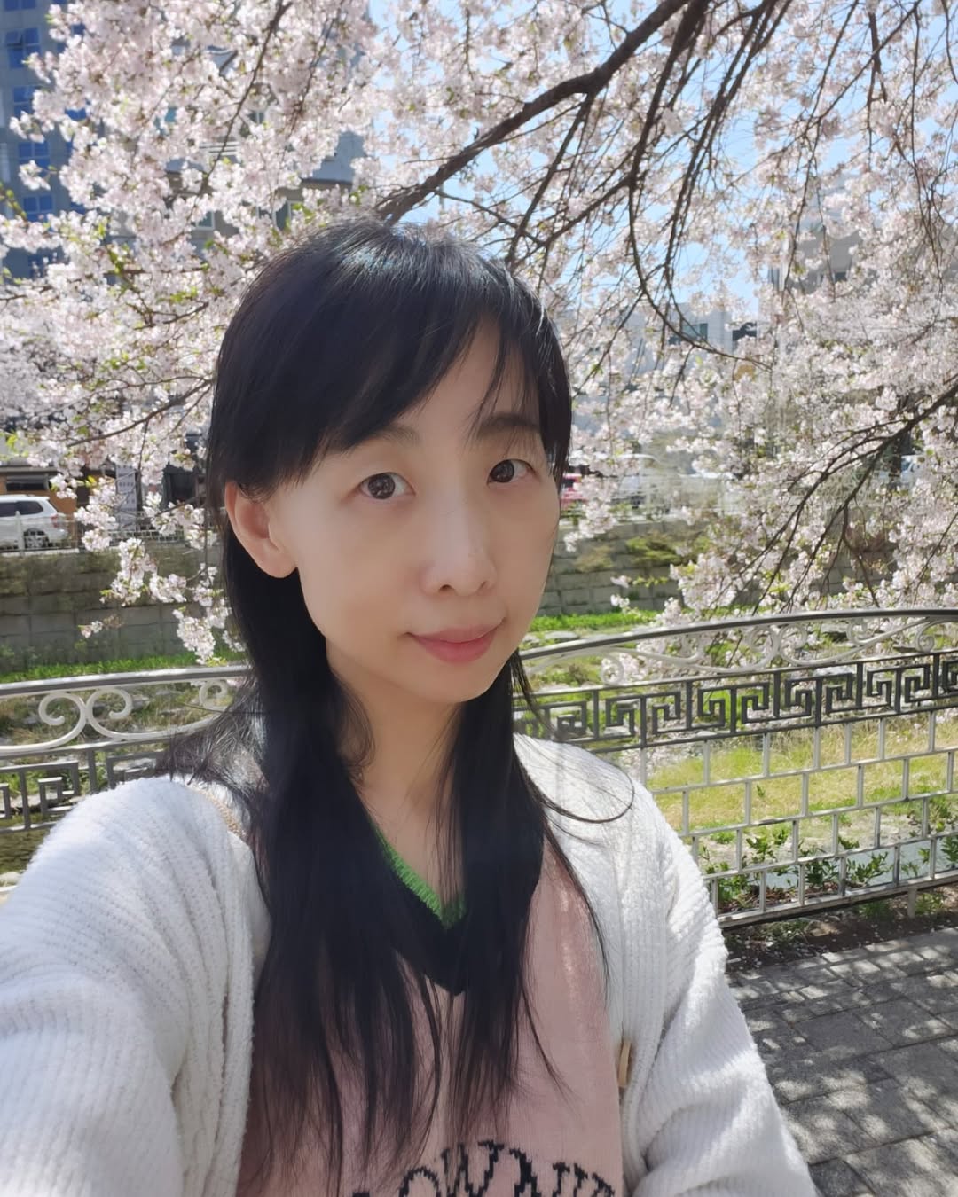 봄날의 여유를 찾아서: 성북천 산책과 함께한 힐링 일상 기록