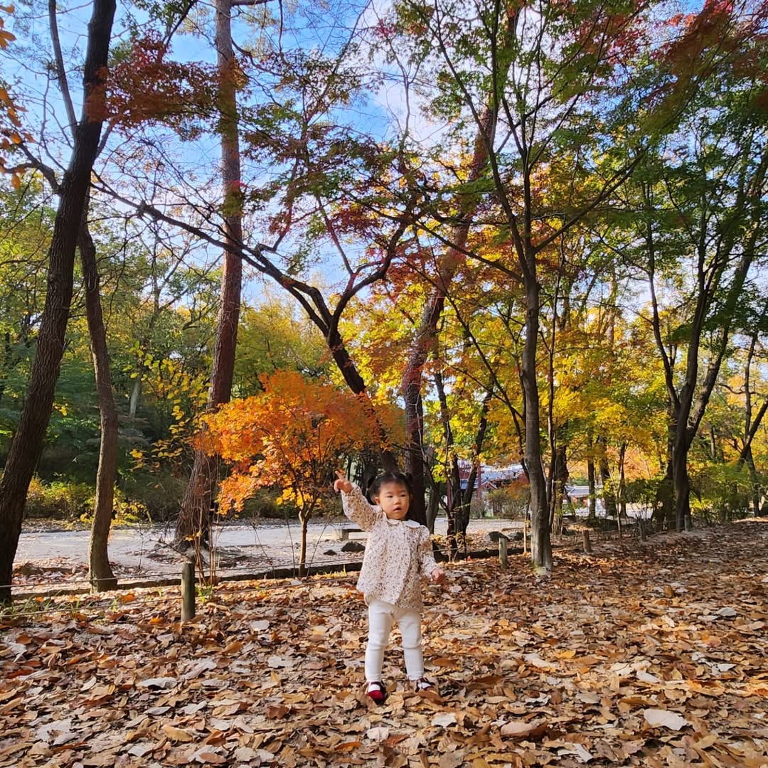 이미지
