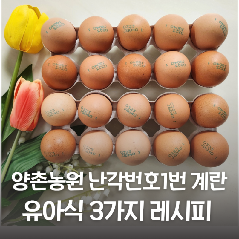 아이를 위한 계란 선택 + 활용 레시피 유아식 3가지, 양촌농원 난각번호1번 계란 자유방목 동물복지 달걀