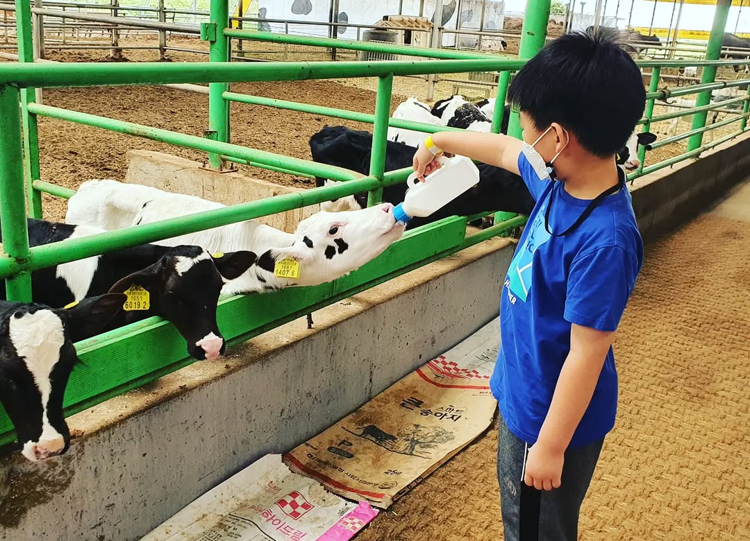농촌 체험의 모든 것! 아이와 함께하는 특별한 추억 만들기 🐄🍕🚜
