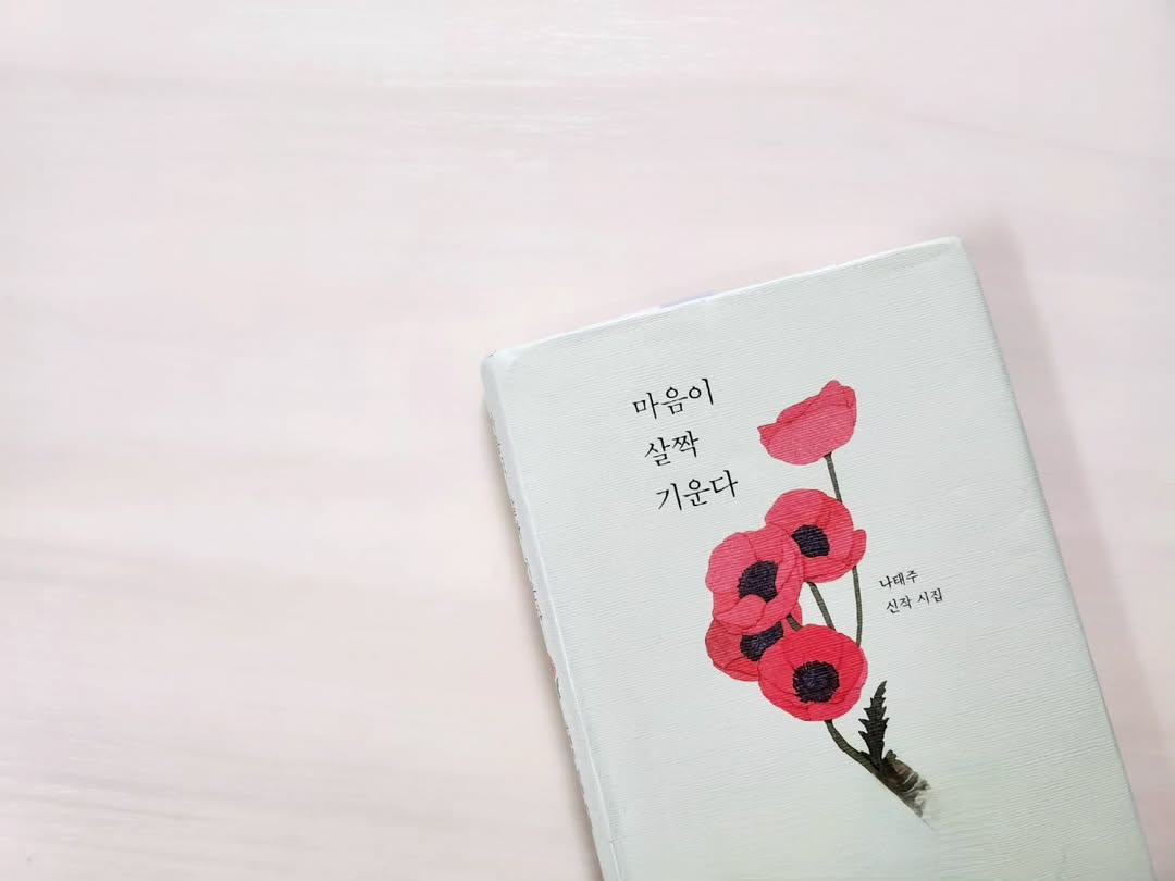 아이들 방학 중 찾은 틈새 힐링, 나태주 시집 '마음이 살짝 기운다' 리뷰
