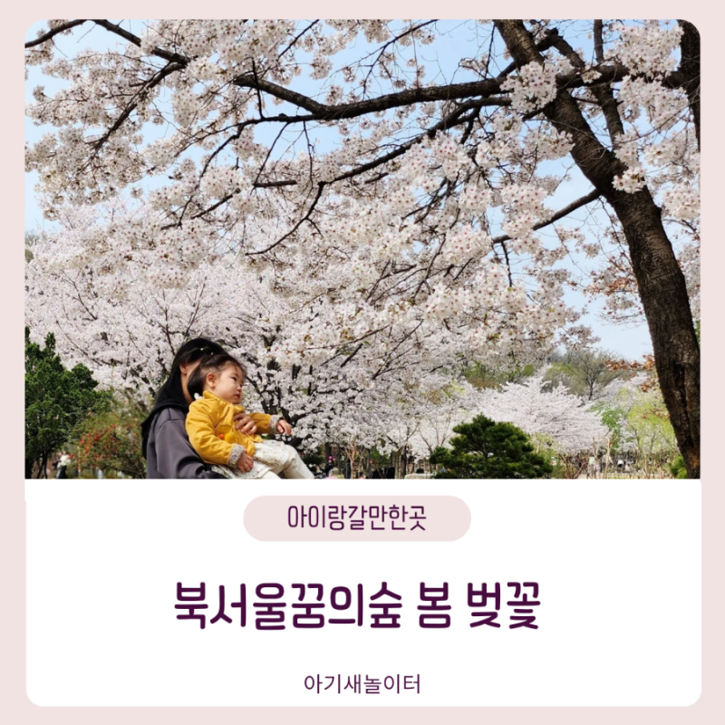[아이랑갈만한곳] 북서울꿈의숲 봄 나들이 벚꽃, 개나리 만발