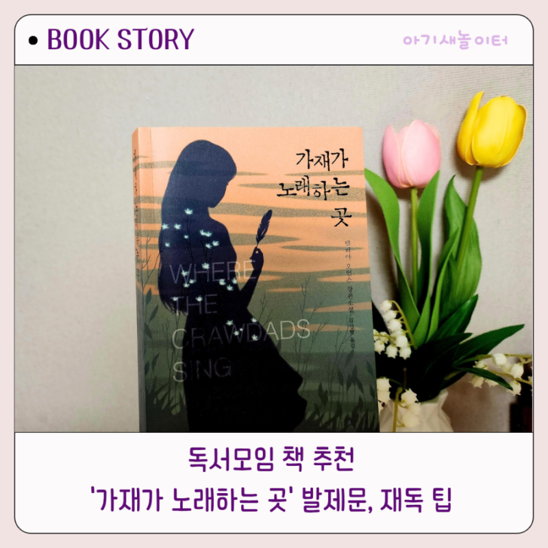 장편소설 가재가 노래하는 곳 독서모임 발제문과 재독팁 독서모임 책추천