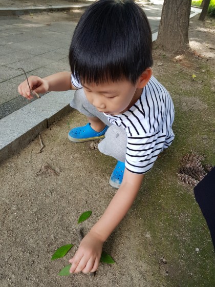 [엄마표놀이] 자연물 곤충 만들기