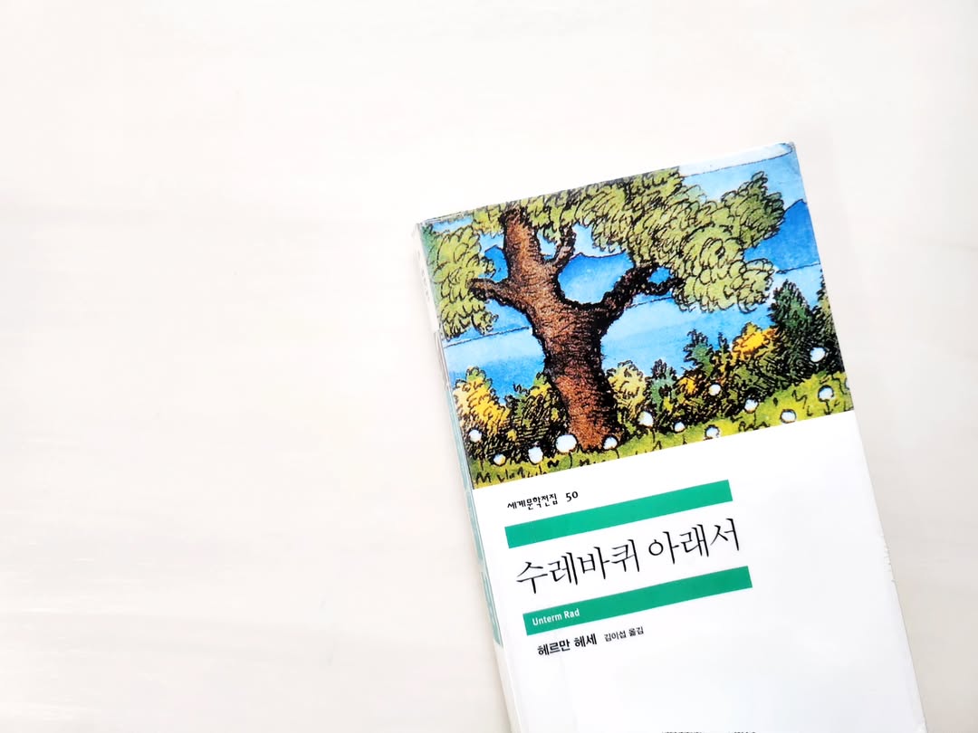 100년 전 고전이 전하는 경고, 헤르만 헤세의 '수레바퀴 아래서'와 현대 교육 현실