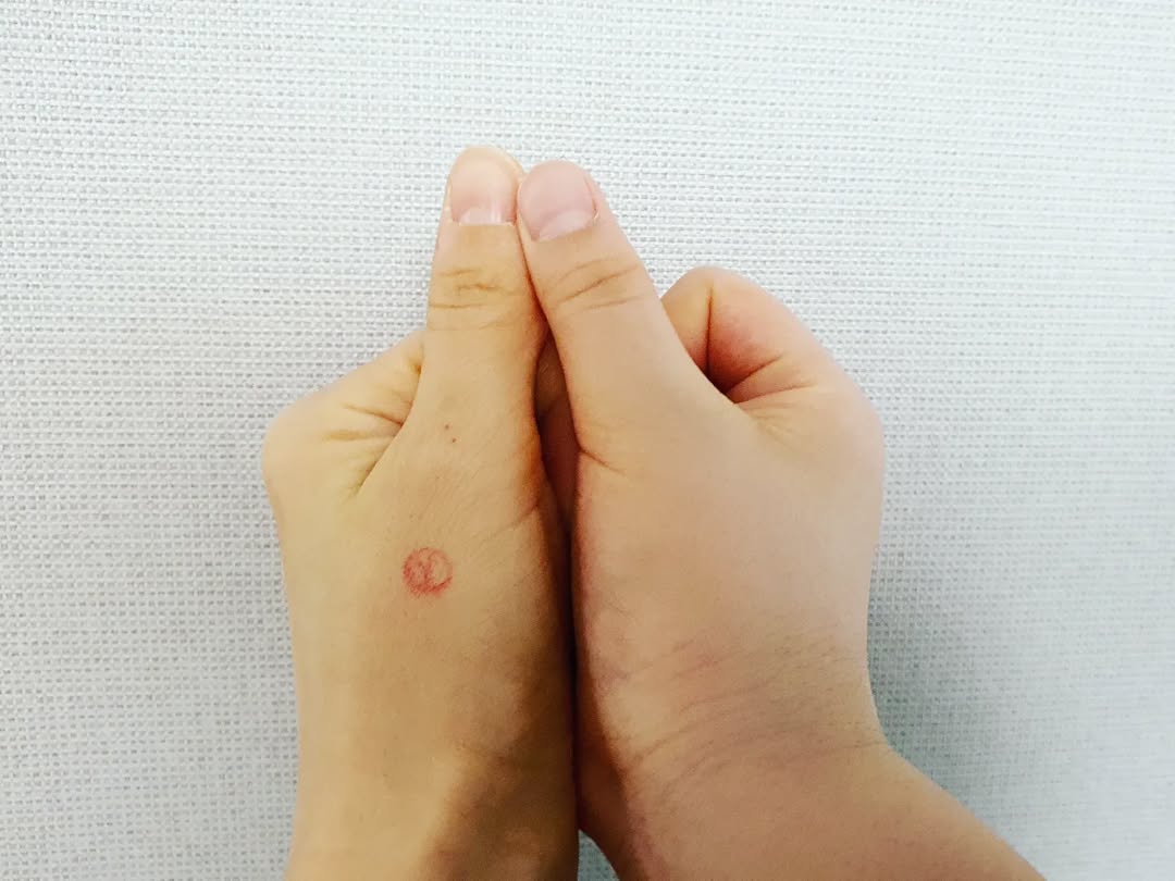 이미지