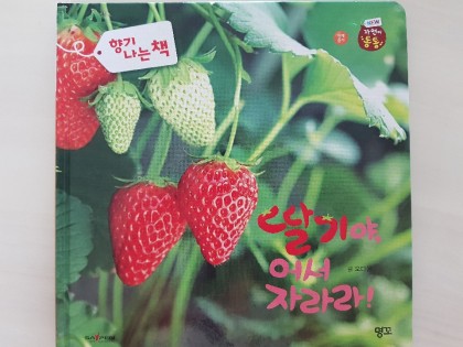 [독후활동] 딸기야, 어서 자라라