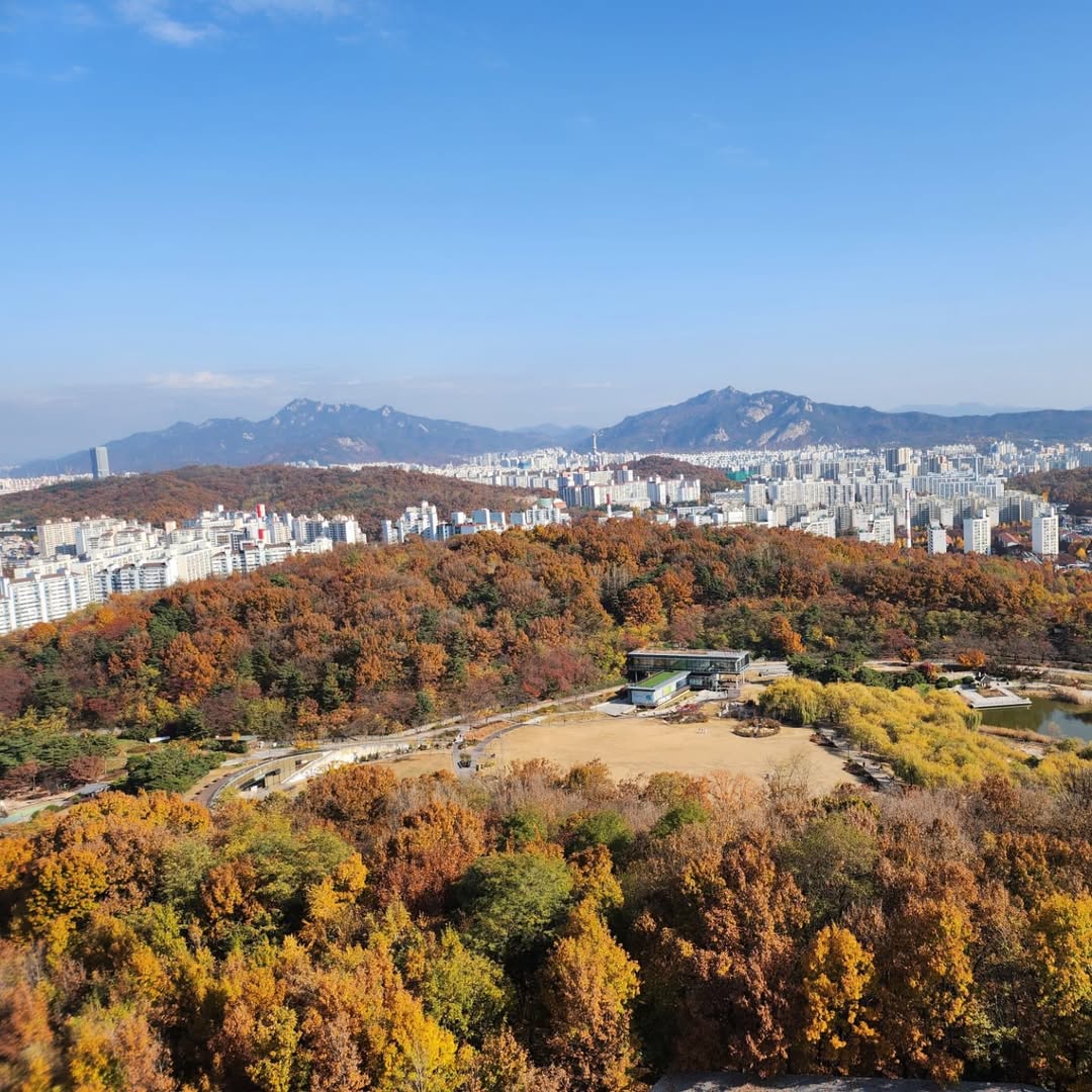 이미지