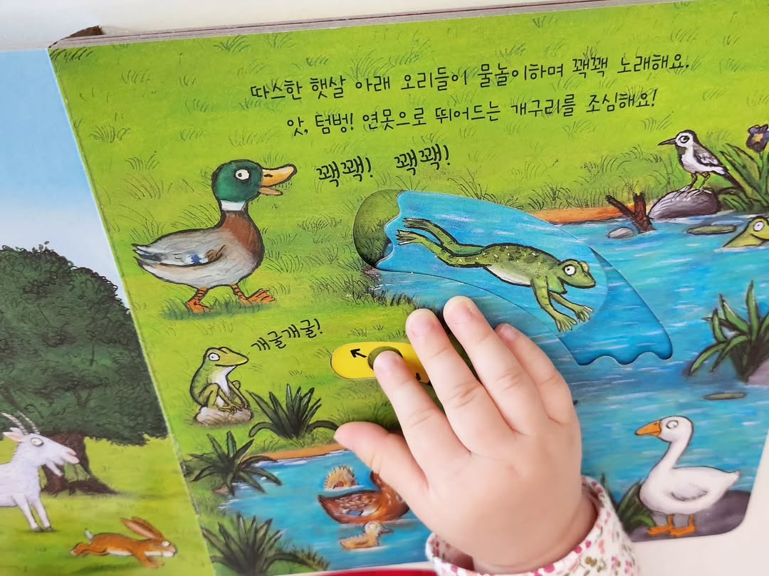 이미지