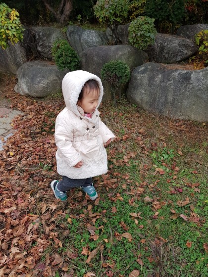 [바깥놀이] 민들레찾기