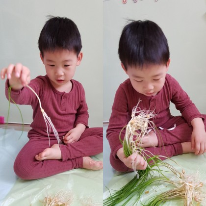 [엄마표놀이]  달래 판화, 개나리 도장찍기
