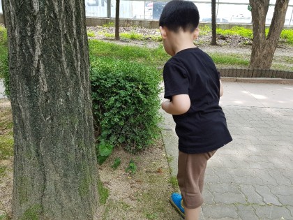 [바깥놀이] 채집