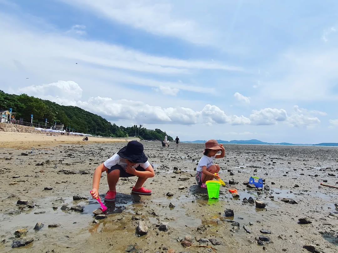 아이와 함께 떠나는 강화도 동막해변 여행: 갯벌, 갈매기, 그리고 특별한 모래놀이!