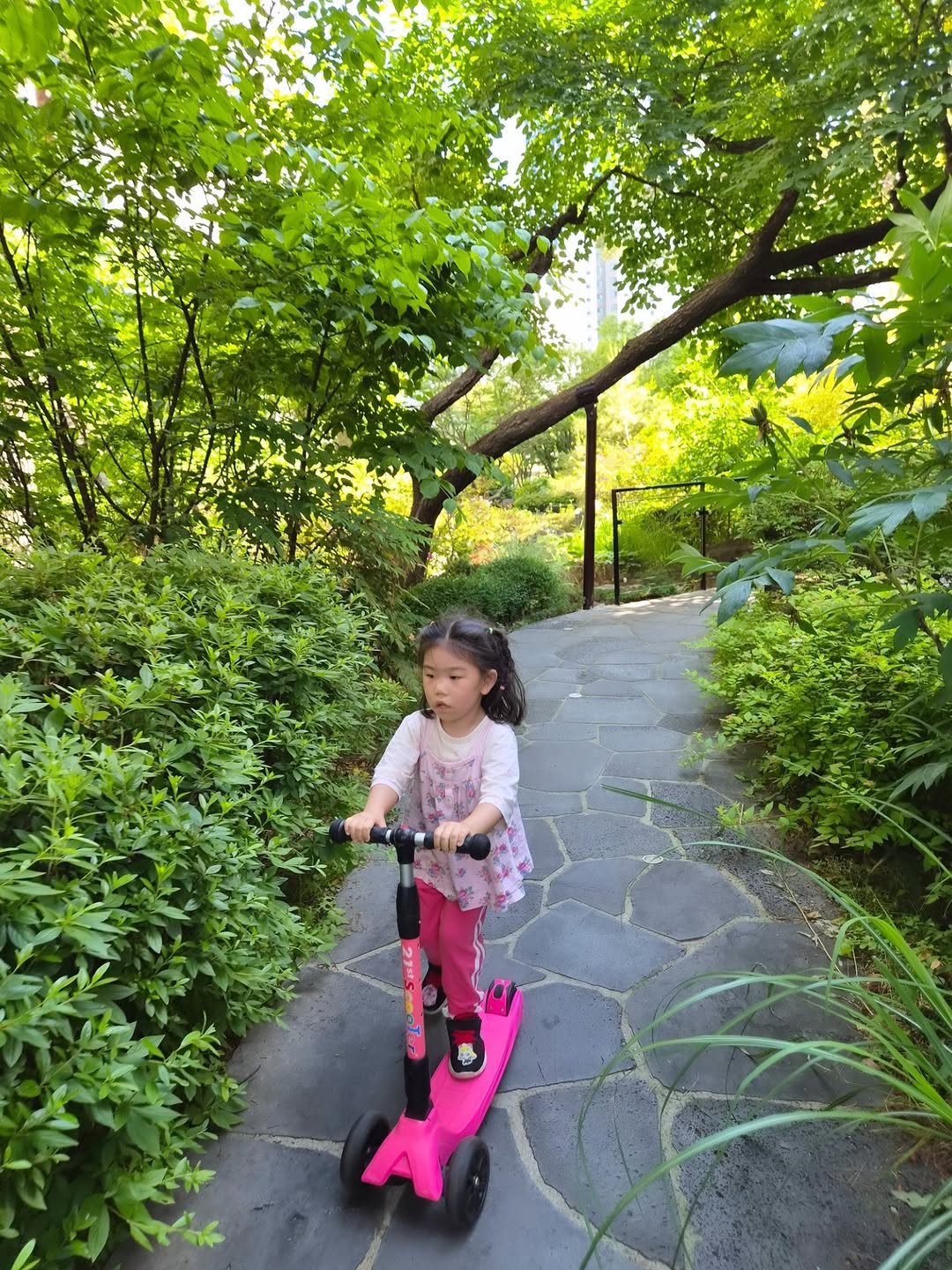 우리 아이 킥보드 첫 경험: 좌충우돌 초보 라이더 성장기 (안전 팁 포함!)