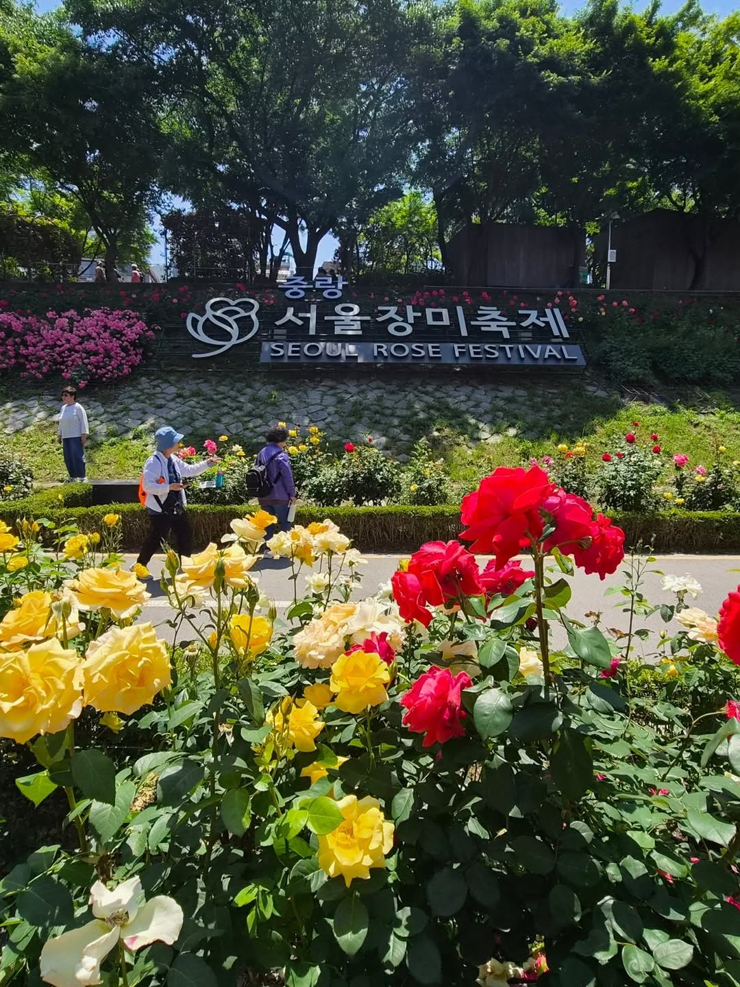 이미지