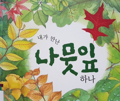 [독후활동] 내가만난 나뭇잎