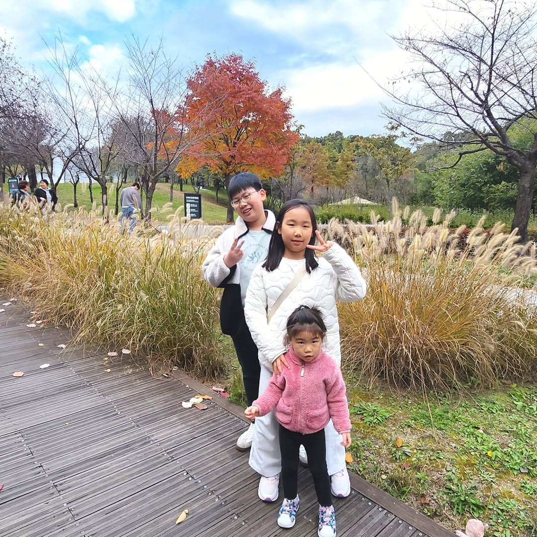 가을의 마지막 선물: 북서울 꿈의숲 단풍 산책, 짧아서 더 소중한 순간들
